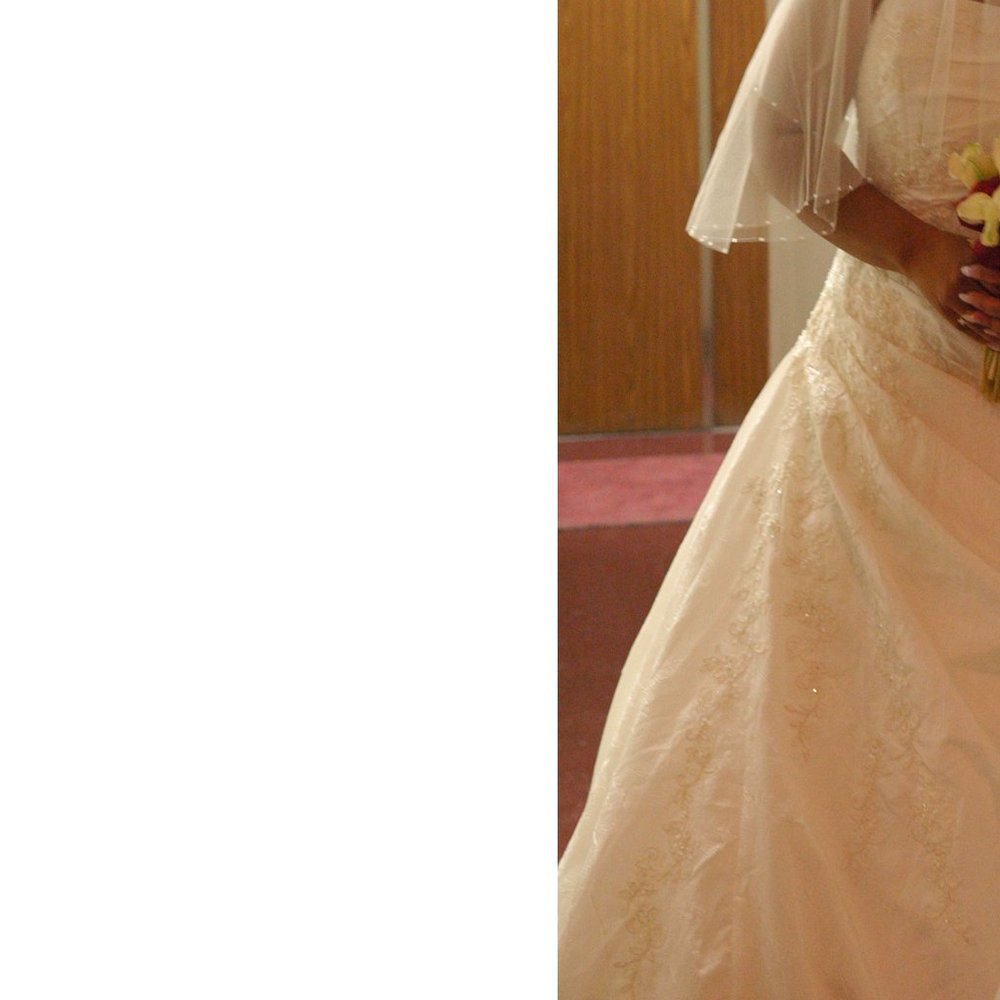 Pronovias Wedding Dress